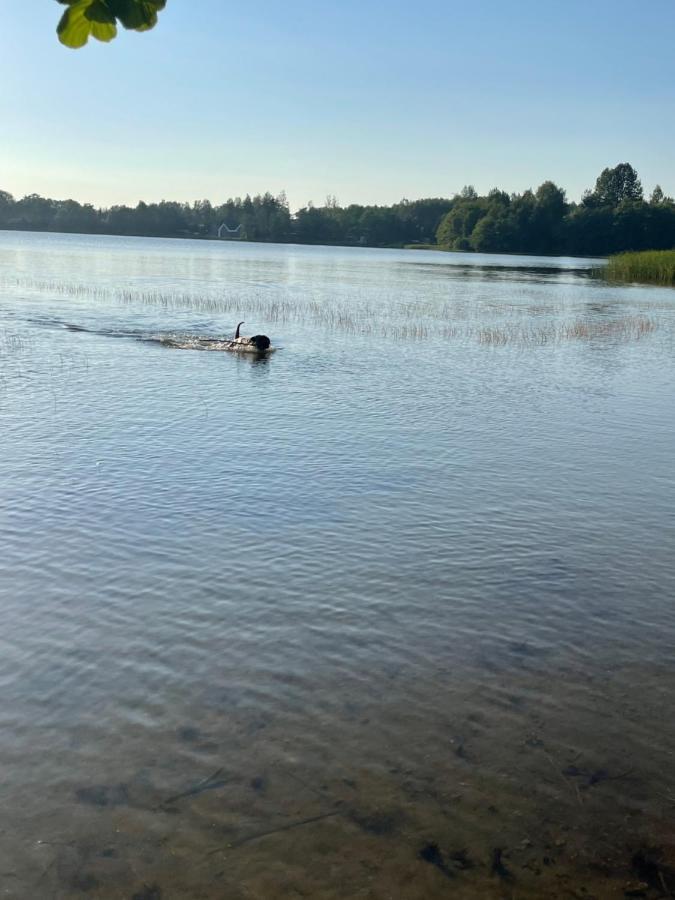 Woodhouse Resort Dobrogoszcz المظهر الخارجي الصورة